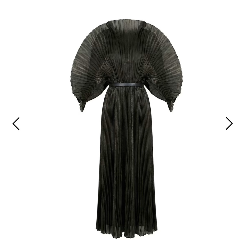 Pleated Long Dress With Organza Pleated Cape Sleeves In Black